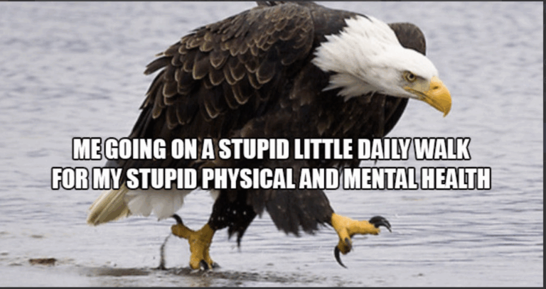 stupid walk